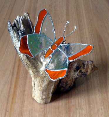 Butterfly on driftwood
