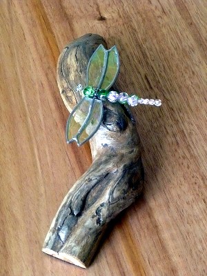 Dragonfly on driftwood